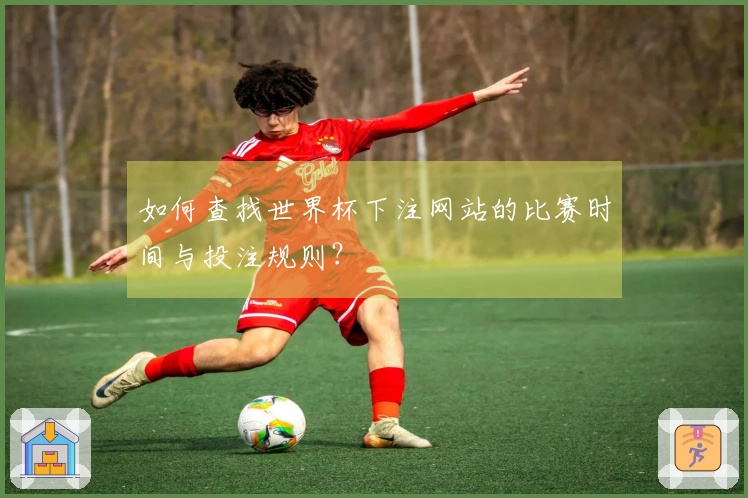 如何查找世界杯下注网站的比赛时间与投注规则？